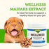 Animal Essentials WELLNESS Maitake Mushroom Supplement for Dogs & Cats - Healthy Immune Response, Supports Circulatory Function, Critical Immune D...