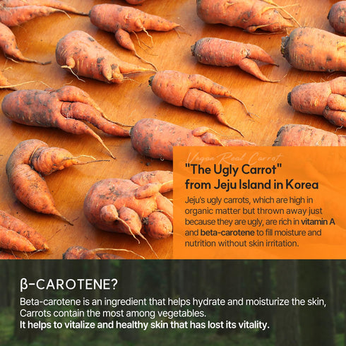 VPROVE Real Carrot Cleansing Gel 200ml 6.76 fl. oz. | Low pH Facial cleanser | Cleansing foam | Foam Cleanser | Hydrating | Soothing | Korean Skin...