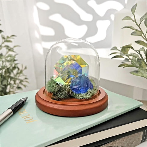 Plymor 3" x 3" Glass Display Dome Cloche (Walnut Base)...