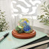 Plymor 3" x 3" Glass Display Dome Cloche (Walnut Base)...