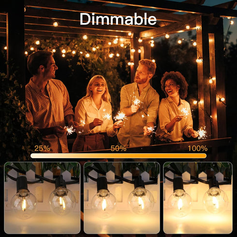 GPATIO LED G40 Replacement Light Bulbs for Indoor Outdoor String Lights - C7 Candelabra Fits E12 Socket Light Fixtures with Round Globe Clear Edis...