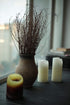 50 pcs Birch Branches for Vases, Decoration for Sale. Natural Birch Twigs for centerpieces. Floral Stick....