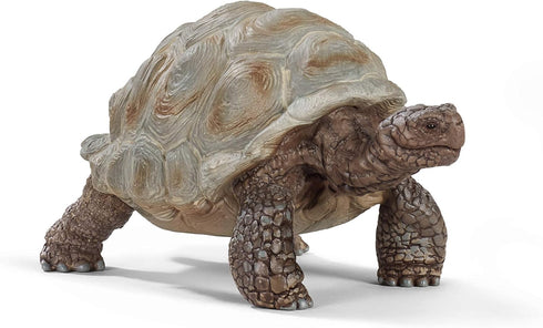 Schleich Wild Life Realistic Exotic Galapagos Giant Tortoise Figurine - WIld Animal FIgurine Giant Tortoise Toy for Wildlife Play and Imagination ...