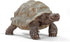 Schleich Wild Life Realistic Exotic Galapagos Giant Tortoise Figurine - WIld Animal FIgurine Giant Tortoise Toy for Wildlife Play and Imagination ...