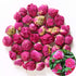TooGet Fragrant Peony Ball Paeonia lactiflora Natural Dried Peony Flowers Wholesale, Top Grade - 4 OZ...