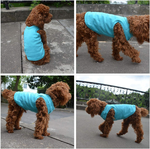 2018 Pet Clothes Dog Clothing Blank T-shirt Tanks Top Vests for Small Middle Large Size Dogs 100% Cotton Dog Summer Vest Classic (XXL, Turquoise)...