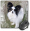 3dRose Black and White Papillon Mouse Pad (mp_8334_1)...