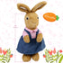BenBen Easter Bunny Stuffed Animal, 12” Brown Rabbit Plush for Home Decor, Rabbit Stuffed Animal Wearing Pink Clothes for Kids, Gifts for Birthday...