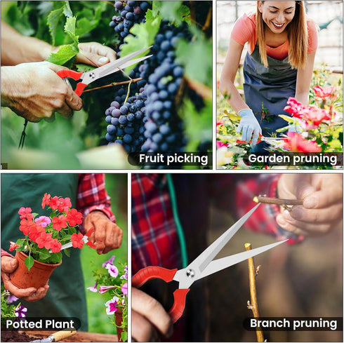 Extra Long Pruning Shears, Gardening Hand Pruners with Stainless Steel Blades, Garden scissors for Arranging Flowers, Trimming Plants, Harvesting ...