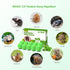 Rodent Repellent Peppermint Oil to Repel Mice and Rats 10 Pack Mice Repellent for House Natural Mouse Repellent Ball to Keep Rodent Out of Car Eng...
