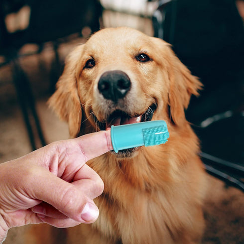 Professional Dog Finger Toothbrush by H&H Pets,Pack of 4...