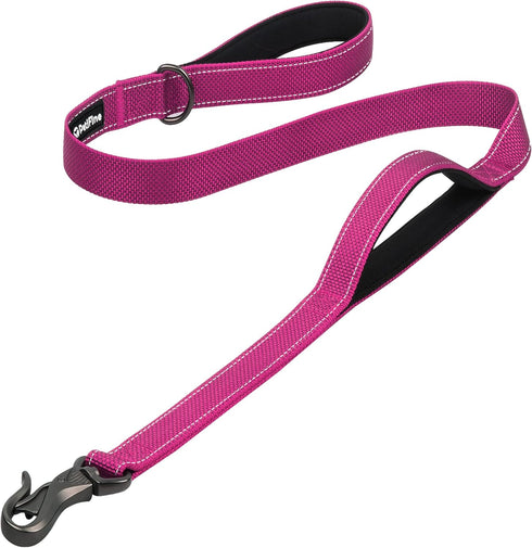 PetiFine 4FT Heavy Duty Dog Leash with Soft Padded Double Handle, Durable Strong Clasp Dog Leashes, Reflective Nylon Walking Lead for Large,Medium...