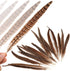 20pcs Natural Pheasant Tails Feather for Hair Hats Crafts Home Wedding Party Decoration (30-35cm)...