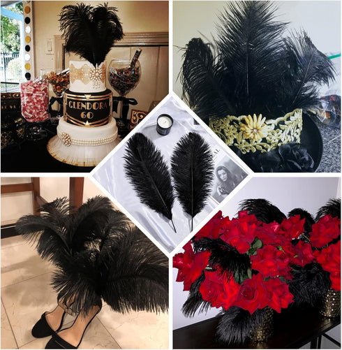 Larryhot Black Ostrich Feathers Bulk - 16-18 inch 10pcs Feathers for Vase,Wedding Party Centerpieces and Home Decorations (Black)...