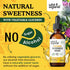 Burdock Root Tincture - Digestive Health w/Burdock Root Organic - Alcohol-Free Burdock Drops for Cleanse Detox for Women and Men - Antioxidant Sup...