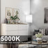 Briignite 3 Way LED Light Bulbs, 3 Way Light Bulbs 50 100 150W Equivalent Daylight 5000K A19 Light Bulbs E26 Base, Three Way Light Bulbs Indoor 3-...