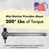 Chapman MFG CM-13 Mini Ratchet, 1/4" Drive, USA Made Stainless Steel Ratchet with 20 Tooth Gear & 18 Degree Working Arc...