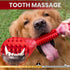 Apasiri Tough Dog Toys for Aggressive Chewers Large Breed, Chew Toys, Bones Made with Nylon and Rubber, Big Indestructible Toy, Medium Puppy Teeth...