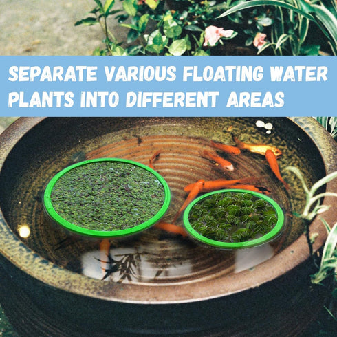 5 Pcs Aquarium Floating Plant Corral,5 Sizes of Aquarium Floating Plant Ring, Aquarium Feeding Ring for Intercepts Floating Plants, Fish Feeding R...