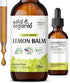 Lemon Balm Tincture - Organic Lemon Balm Liquid Extract - Lemon Balm Herb Drops - Vegan, Alcohol Free Supplement - 2 fl oz...