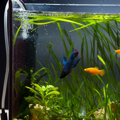 uxcell 20Pcs Aquarium Air Valve Connector, 13/64"(5mm) OD Transparent L-shaped Aquarium Airline Tubing Connector for Fish Tank Pond Air Line...