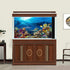 Aquarium Background Underwater Coral Reef Landscape Terrarium Background Deep Blue Ocean with Colorful Fish and Marine Life Sunlight Ray Aquarium ...