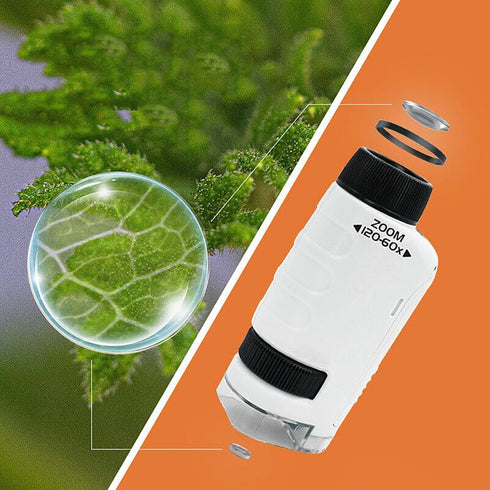 Miniscope Kids, Pocket Microscope for Kids, Portable Microscope, Handheld Microscope, Led Lighted Pocket Microscope for Scientific Experiment...