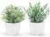 Der Rose 2 Pack Small Fake Plants Artificial Greenery Eucalyptus Plants in Pots for Bedroom Living Room Decor...