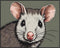 Posterizer 1 pcs- Cute possum portrait with a pastel green background-Art for Animal Lovers- Gift for Men Women Entrepreneur Teens-Decor for Home ...