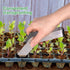 2 Pcs Seedling Transplant Tongs- 6.7 Inch Stainless Steel Gardening Plants Transplant Tongs- Seedling Remove Transplant Pliers for Reducing Root D...