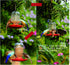 1 PCS | Birds Feeder for Outside Hanging | Wild Birds Feeders Suitable for Mason Jar (2.75 in Diameter-8/16/24/32oz) | Birds Feeders as Garden Gif...