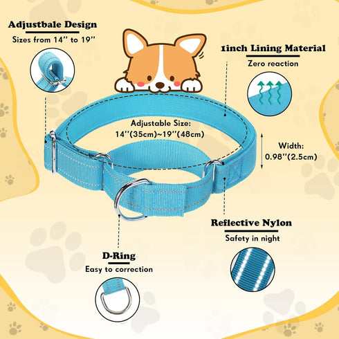 6 Pcs Martingale Collar for Dogs Reflective Dog Collar with Metal Buckle Adjustable Nylon PET Collar Prevent Slipping out Puppy Collars for Dog (P...