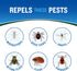 Cutter Backwoods Dry Insect Repellent, Mosquito Repellent, 25% DEET, Sweat Resistent, 4 Ounce (Aerosol Spray)...