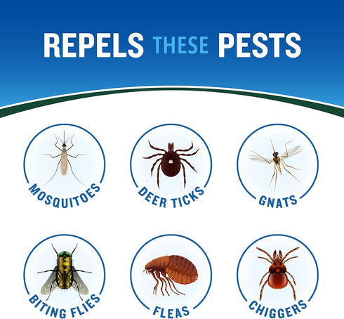 Cutter Backwoods Insect Repellent, Mosquito Repellent, 25% DEET, Sweat Resistent, 6 Ounce (Aerosol Spray)...