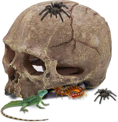 Halloween Human Skull Reptile Hide, Grey Reptile Hides and Caves for Ball Python Leopard Gecko Snake Bearded Dragon Lizard Fish Chameleon Spider, ...