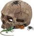 Halloween Human Skull Reptile Hide, Grey Reptile Hides and Caves for Ball Python Leopard Gecko Snake Bearded Dragon Lizard Fish Chameleon Spider, ...
