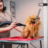 Pet Dog Grooming Arm Accessories Supplies Compatible for Groomers Helper Grooming Loop Dog Grooming Extension Strap Adjustable Dog Grooming Table ...