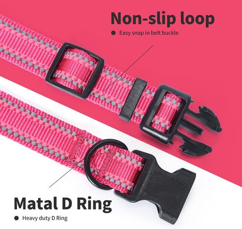 Mile High Life | Nylon Night Light Glow Collar for Medium Dogs | Reflective Band Cat Collar | Fluorescence self-luminescence Strap Puppy Collar | ...