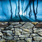 Fish Backgrounds Paper Double Sides 3D Stone & Trees Aquarium Background Picture 19" x 48" Fish Tank Background...