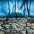 Fish Backgrounds Paper Double Sides 3D Stone & Trees Aquarium Background Picture 19" x 48" Fish Tank Background...