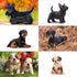 12PCS Dog Figurines, Realistic Plastic Puppy Figurines, Hand Painted Emulational Tiny Dogs Animals Toy, Dog Cake Topper Christmas Birthday Gift fo...