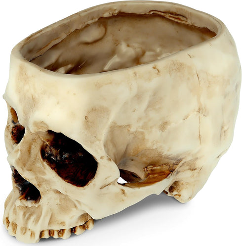 READAEER Skull Bowl Resin Skull Shaped Planter Flower Pot Candy Bowl for Home Office Indoor Desk Decorations - White...