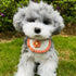 Dog Costume and Cat Costume,Handmade Knitted Dog bandanas,Orange Flower Dog Birthday Outfit for Small Dogs,Cute Cat Bandana Collar for Party,Daily...