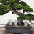 BESPORTBLE Miniature Stone Lantern Pagoda Japanese Style Pagoda Lantern Statue Mini Zen Garden Accessories for Aquarium Patio Micro Landscape Yard...