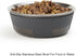 PetRageous 16019 Kona Stainless Steel Non-slip Dishwasher Safe Dog Bowl 3.75-Cup 6.75-Inch Diameter 2.5-Inch Tall for Medium and Large Dogs and Ca...