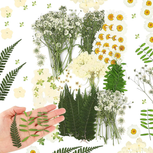 Fabbay 200 Pcs Dried Pressed Flowers Real Dry Natural Flower Leaf Dried Flowers for Resin Pressed Flower Kit for Plant Herbarium Scrapbooking DIY ...
