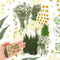 Fabbay 200 Pcs Dried Pressed Flowers Real Dry Natural Flower Leaf Dried Flowers for Resin Pressed Flower Kit for Plant Herbarium Scrapbooking DIY ...