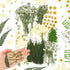 Fabbay 200 Pcs Dried Pressed Flowers Real Dry Natural Flower Leaf Dried Flowers for Resin Pressed Flower Kit for Plant Herbarium Scrapbooking DIY ...