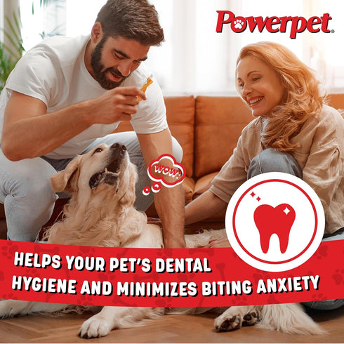 Treats Bully Stick Bites - Delicious Dog Treats - All Natural, Long-Lasting Chews, High Protein, Grain-Free, Rawhide-Free - Odorless - Promotes De...