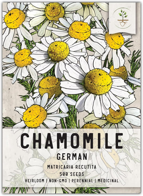 Seed Needs, German Chamomile Seeds - 500 Heirloom Seeds for Planting Matricaria recutita - Medicinal Herb for Indoor/Outdoor Gardens, Non-GMO & Un...